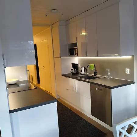 Laavu * 罗瓦涅米